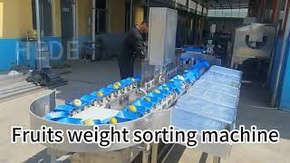 Fruits and vegetables weight sorting machinesorts them with different weightswide range [upl. by Niwdog]