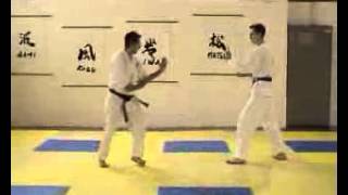 Randori sano kata [upl. by Sierra]