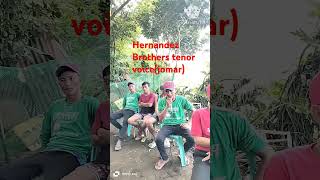 Hernandez Brothers tenor voice Jomar bulud nga ayatilocano music singingcoversong [upl. by Omsoc]