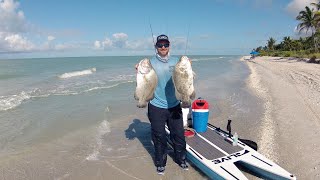 Catching Tripletail on my Paddleboard off Sanibel Island Florida [upl. by Elleuqar]