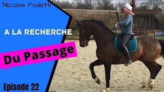 A la recherche du passage équitation [upl. by Rebmetpes]