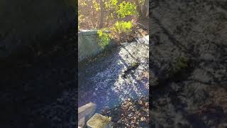 quotThe Weir at Frearquot Frear Park Troy NY shorts short shortvideo history parks [upl. by Pavlish]