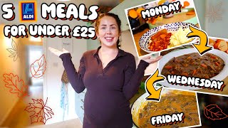 5 AUTUMN FAMILY MEALS FROM ALDI FOR UNDER £25  Week Of Budget Meals From Aldi FallAutumn 2024 [upl. by Llertram]