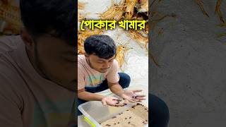 পোকামাকড় চাষের মাধ্যমে বেকারত্ব কমানো সম্ভব insects pets ornofpets [upl. by Nahtnhoj]