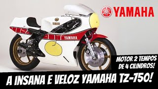 A INSANA E VELOZ YAMAHA TZ750 [upl. by Ericksen924]