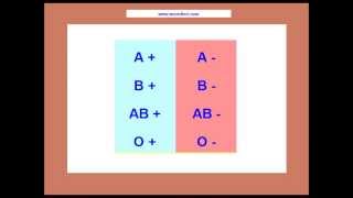 Blood Group Type In UrduHindi Noor Clinic Video [upl. by Emili]