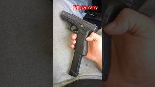 Glock 17 Gen 3 with 48 rounds of P 9mm hardcast vs a Grizzly Bear [upl. by Auqinom307]