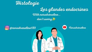 les glandes endocrines histologie première année medecine et medecine dentaire [upl. by Bhatt290]