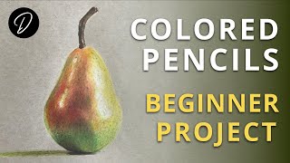 COLOURED PENCILS  Lesson amp Project for Beginners [upl. by Willetta47]