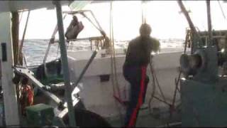 Prawn Trawler Boats Part 10  Daytime Heading Home amp Unloading [upl. by Rheinlander]