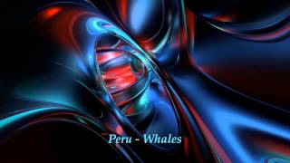 Peru  Whales [upl. by Asiluj]