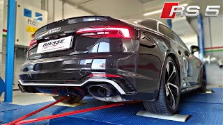 515hp783nm Audi RS5 B9 with Custom Downpipes amp Stage 1 ECU on the Dyno  29L TFSi V6 Sounds [upl. by Pelaga]