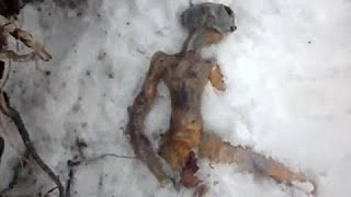 Deutsche Dokumentation  Aliens auf der Spur  Mysteriöse Sichtungen 2016 [upl. by Fira]