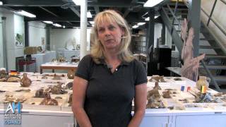 CSPAN American Artifacts Preview Jamestown Archaeology Lab Bly Straube [upl. by Ojoj]