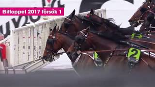 Elitloppet 2017 försöken [upl. by Aloivaf]