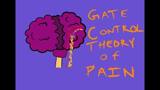 What is Pain  Melzack amp Walls 1965 Gate Control Theory of Pain [upl. by Adnilrev]