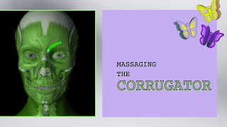 Massaging the Corrugator [upl. by Ilise]