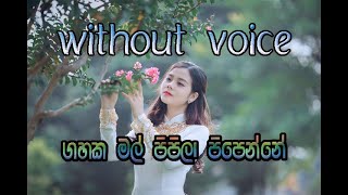 gahaka mal pipila  without voice divulganekaraoke [upl. by Drobman]