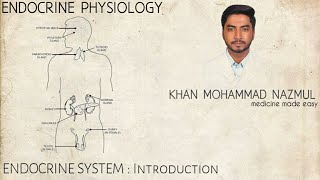 ENDOCRINE SYSTEM  Introduction  Endocrine Physiology  বাংলা  Bangla [upl. by Olumor]