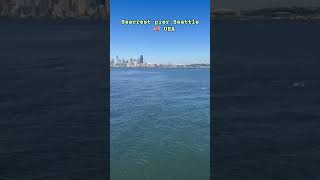 Seacrest pier Seattle United States of America youtubeshorts shortsviral parenting [upl. by Notsae]