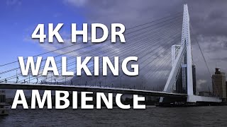 The Netherlands  Rotterdam walking ambience・4K HDR ASMR [upl. by Tomkin]