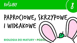 Paprocie skrzypy widłaki  paprotniki  Rośliny 8  matura liceum biologia rozszerzona [upl. by Yellac896]