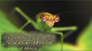 Explore the Wildlife Kingdom  The Hidden World of Africa  Full Movie  Grant Goodeve [upl. by Abie]