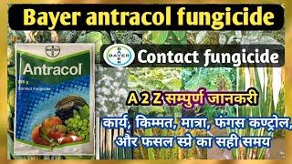 Bayer antracol fungicideबायर एंट्राकोल फंगीसाइडसंपूर्ण जानकारी हिंदी में [upl. by Ycinuq]