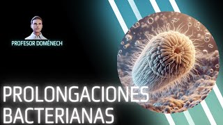 Prolongaciones bacterianas FLAGELOS FIMBRIAS y PELOS [upl. by Neeliak]