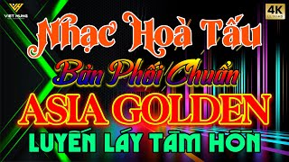 LK ChaChaCha Melody Anh Quốc Luyến Láy Tâm Hồn  Hoà Tấu Cha Cha Cha Hay Nhất Thập Niên 7X 8X 9X [upl. by Alecram426]