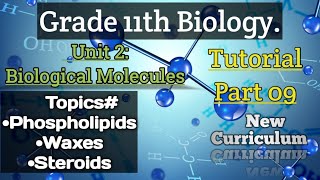 Phospholipids Waxes Steroids Class 11Biology Unit2 Biological Molecules Part9 [upl. by Jillie]