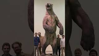 Arctodus The Worlds Largest Bear [upl. by Kylander872]