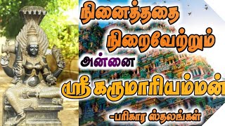 Devi Sri Karumaari amman  Thiruverkadu  Temple history in Tamil  SRI VISHNU JOTHIDAM [upl. by Hymen]