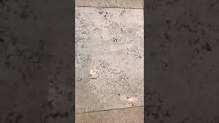 How to Clean Your Travertine Floors Part 1 [upl. by Yeblehs]