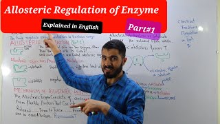 Allosteric Regulation and Mechanism  Enzyme Regulation Biochemistry Enzymology [upl. by Setiram]