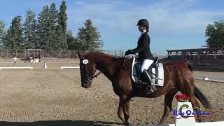 244D Genevieve Hedges on Everydays A Holiday JR Beginner Novice Dressage Woodside October 2024 [upl. by Eiggam]