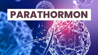 Parathormon Nedir [upl. by Collum]