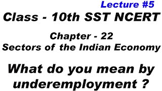 underemployment  Sectors of the Indian Economy  sst  class 10th  Social Studies  ncert [upl. by Aniaz]