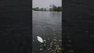 Treptower Park Berlin Germany 🇩🇪 Beautiful Like and subscribe Thanks [upl. by Candie]