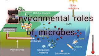 Roles of microorganisms in environment  environmental roles of microorganisms [upl. by Romeyn]