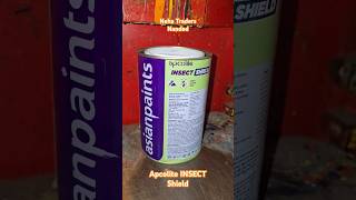 Apcolite INSECT Shield Enamel asianpaint reels diy painting enamel youtube shorts trending [upl. by Adora]