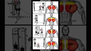 Cable Chest Workout [upl. by Viddah]