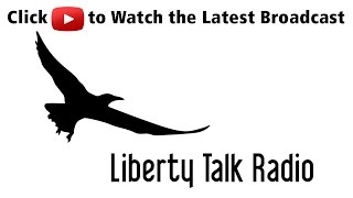 Former World Bank Attorney and Whistleblower Karen Hudes  Liberty Talk Radio 0572015 [upl. by Magdala]