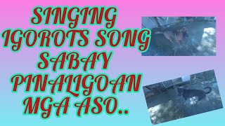 SINGING IGOROT SONGS COVER SABAY PINALIGOAN KO MGA ALAGA KONG ASO [upl. by Leeann766]