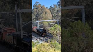 Steam Locomotive K183 entering the cutting at Wattle Glen 🚂 train [upl. by Anij]