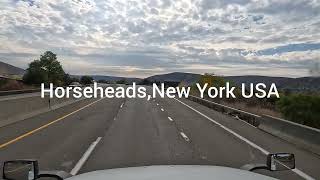 HorseheadsNew YorkUSA 10292023 [upl. by Sax]