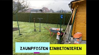 Zaunpfosten einbetonieren  Maschendrahtzaun  Garten Tips [upl. by Yelroc]