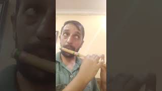 Bansuri flutebansuri bansuriflute song Joginderbagpiperflute [upl. by Ralip121]