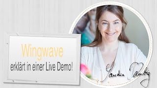 Wingwave Coaching erklärt und gezeigt in einer Live Demo von Sandra Kubig [upl. by Attlee]