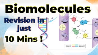 Biomolecules Complete Revision in 10 mins Chemistry Class 12 One shot video [upl. by Orv]